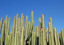 Vakantievilla Salobre,Maspalomas,Gran Canaria image-20