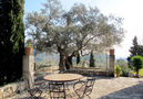 Villa Citrino,Esporles,Mallorca image-9