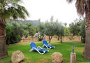 Vakantievilla Aguilar,Inca,Mallorca image-5