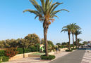 Villa Dhekelia,Valencia,C. Valenciana image-22