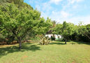 Villa Miraalba,Chiclana de la frontera,Costa de la Luz image-19