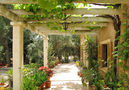 Villa Son Gram,Campos,Mallorca image-28