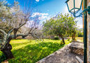 Villa Ses Murteres,Costitx,Mallorca image-54