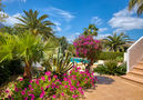 Villa Teutonia,Denia,Costa Blanca image-35