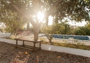 Villa Quincy,Santa Gertrudis,Ibiza image-45