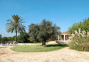 Villa Parroquia,Cala d'Or,Mallorca image-25