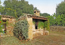 Villa Saudade,Costitx,Mallorca image-24